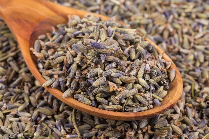 Dried lavender organic tea stock photo. Image of nature 74776132