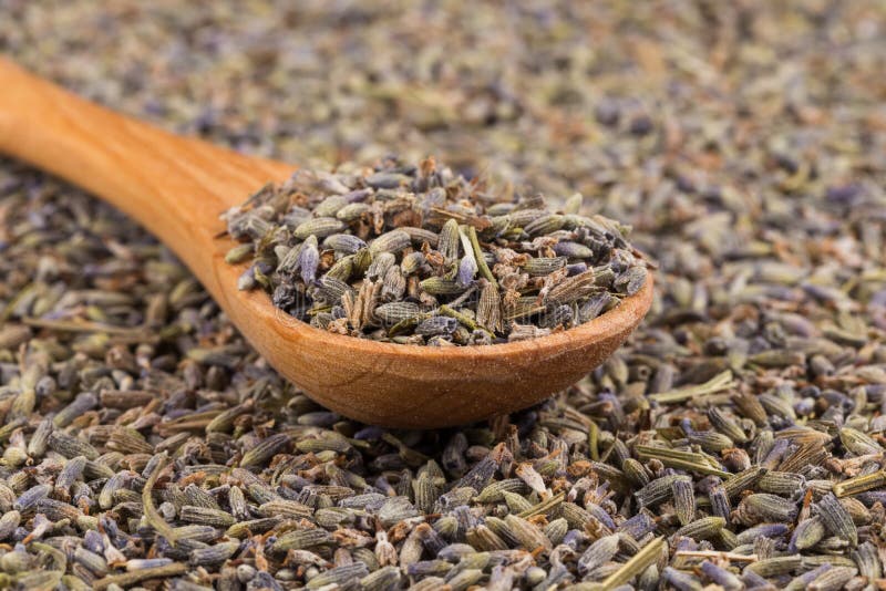 Dried lavender organic tea stock image. Image of flower 79327563