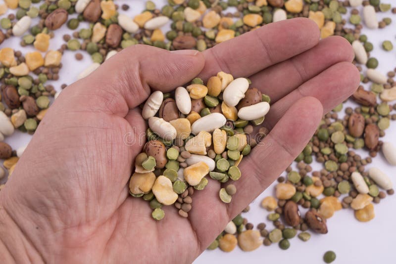 Dried legumes stock photo. Image of bowl, healthy, food 102997622
