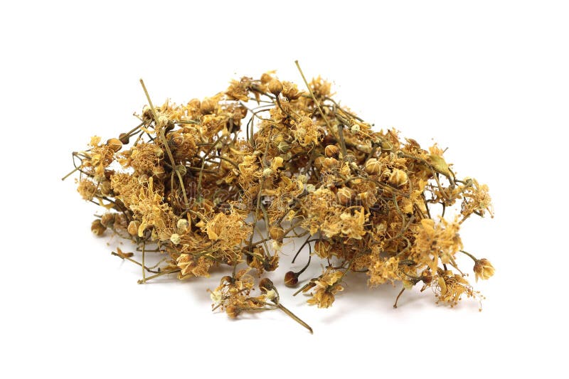 Dried linden blossom royalty free stock image