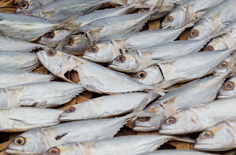 Dried mackerel fish stock photo. Image of fish, market 58488838