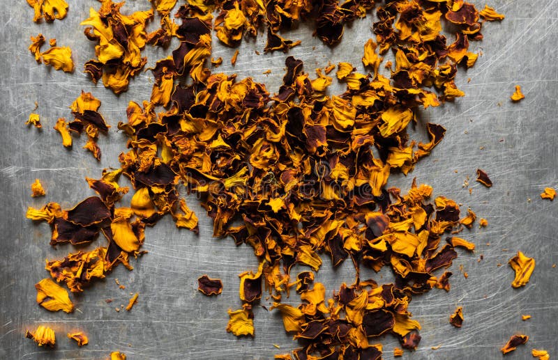 Dried Marigold Petals with Different Field Plants Stock Photo Image
