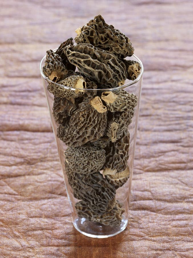 Dried morels royalty free stock photography Dried morels royalty free stock photography