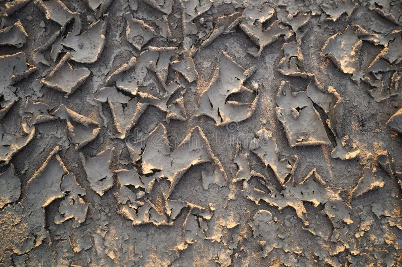 Dried mud