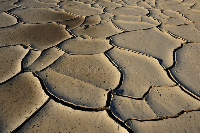 Dried Mud