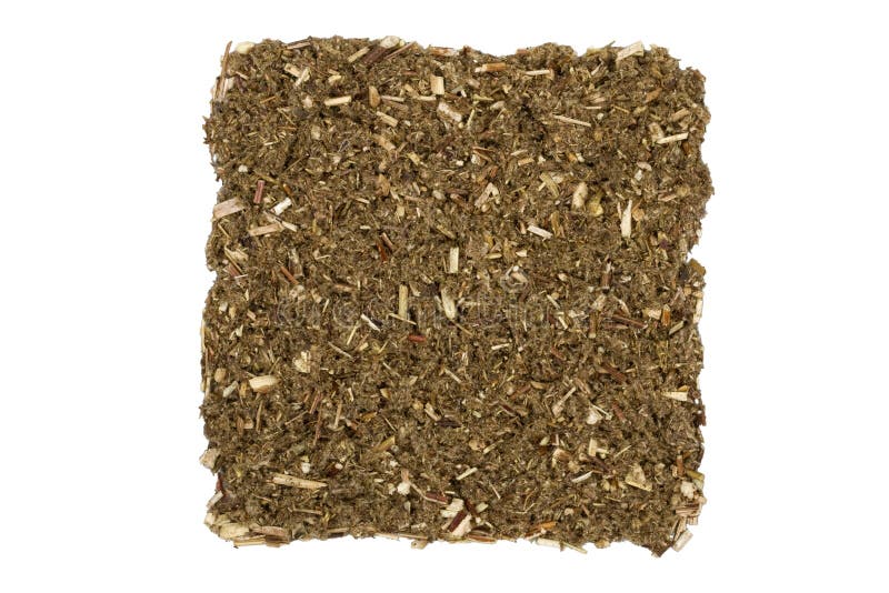 Dried mugwort stock image. Image of food, isolated, condiment 13806817