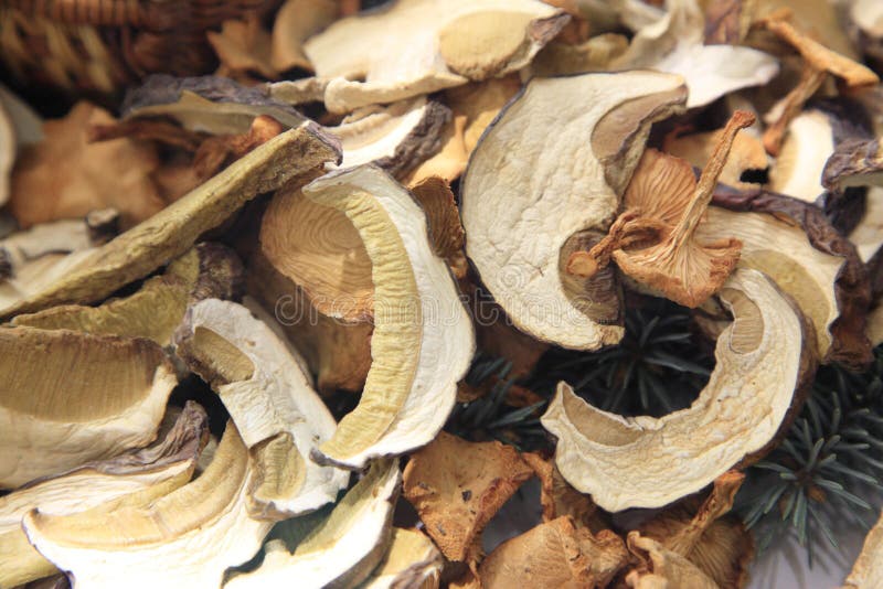 Dried Mushrooms