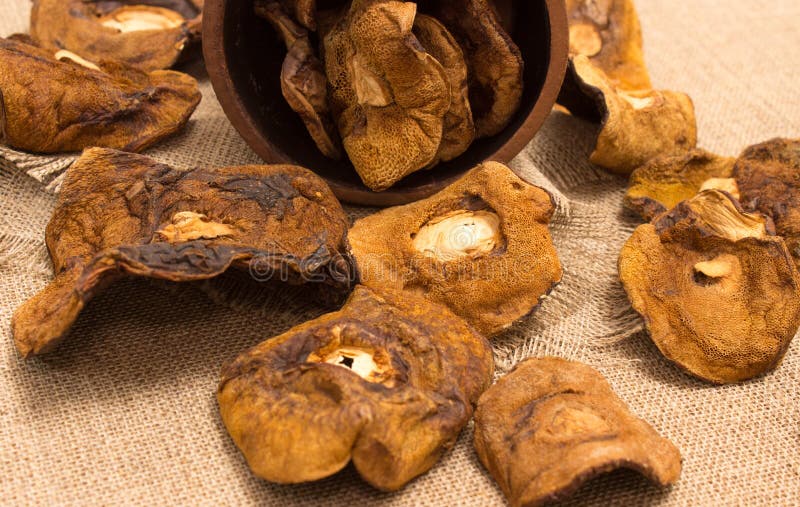Dried mushrooms on canvas stock photo. Image of fungi 57365970
