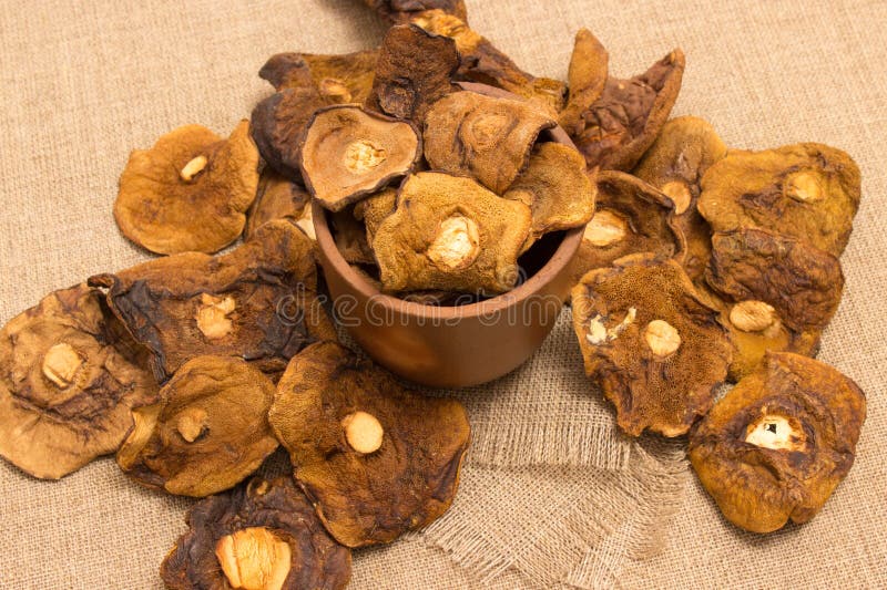 Dried mushrooms on canvas stock photo. Image of closeup 72455578
