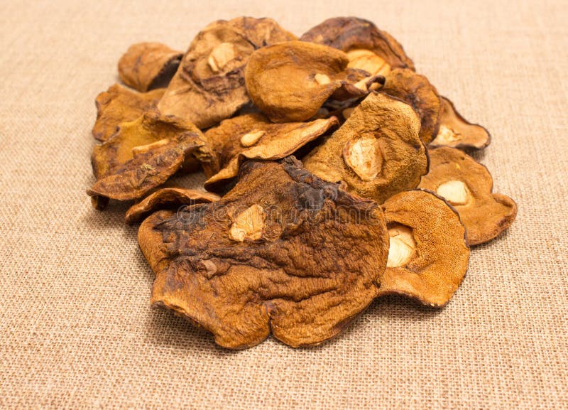 Dried mushrooms on canvas stock photo. Image of healthy 79691118