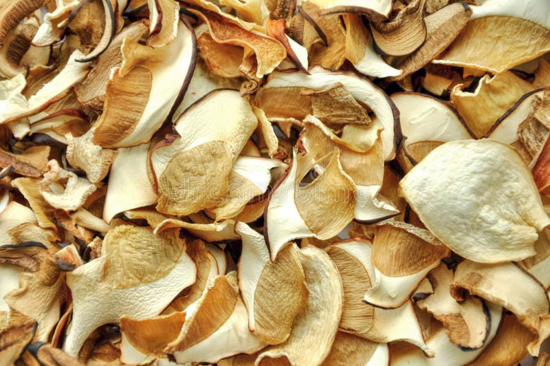 Dried mushrooms royalty free stock photography