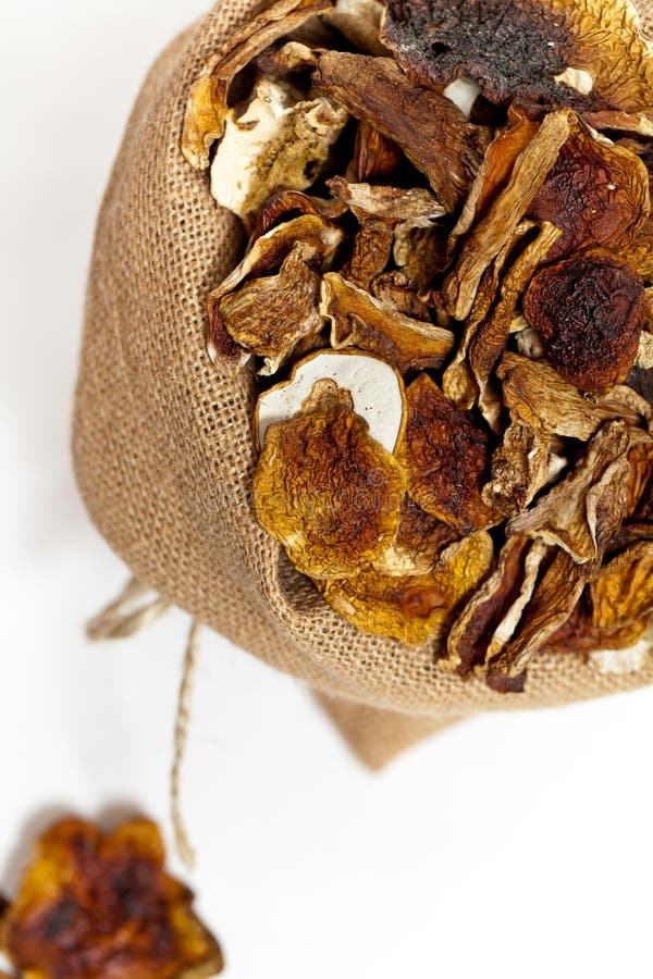 Dried Mushrooms stock image. Image of nature, fruits 55824367