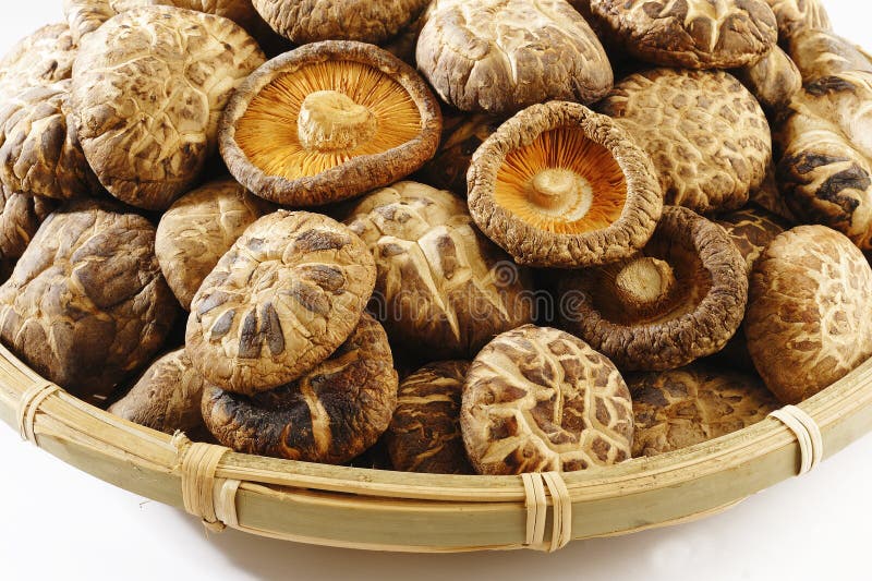 Dried mushrooms stock image. Image of vegetable, healthy 46001801