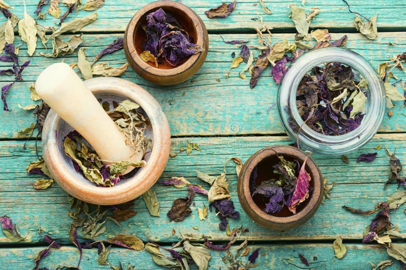 Dried herb,basil leaves stock photo. Image of pile, flavor 216990982