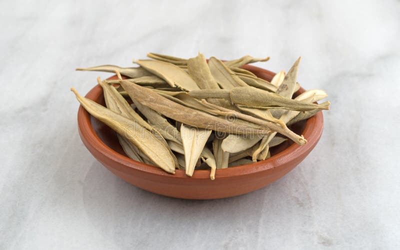 Dried Olive Leaves in a Bowl Stock Image Image of alternative