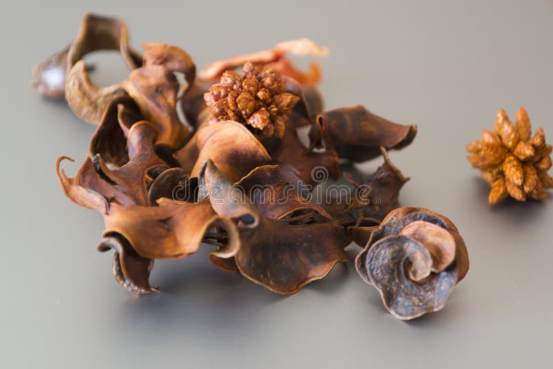 Dried Orange Peel Potpourri. Picture Image 87856374
