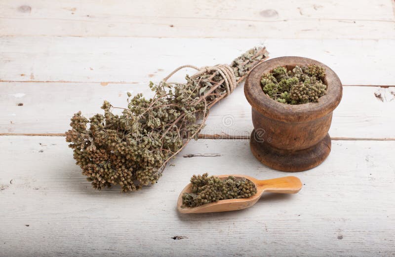 Dried oregano herb stock photo. Image of bowl, napkin 96945510