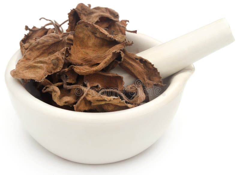 Dried oregano leaves stock photo. Image of aromatic 267810116