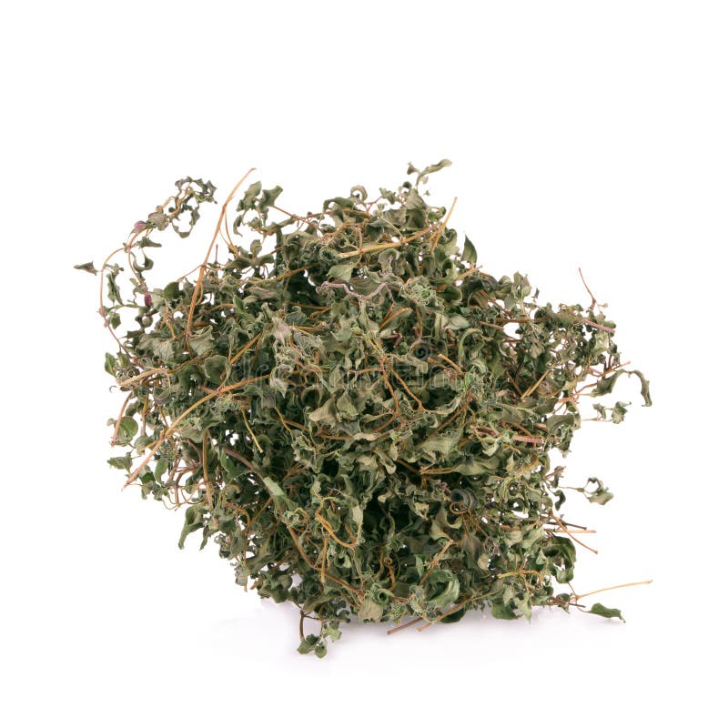 Dried Oregano Leaves on a White Background Stock Photo Image of plant