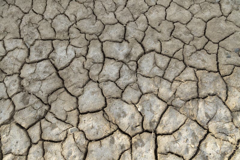 A dried out and cracked riverbed stock image