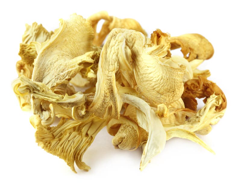 Dried oyster mushroom over white background