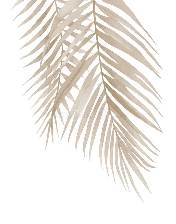 Dried Palm Branches. Pastel Beige Leaves. .Watercolour Illustration ...