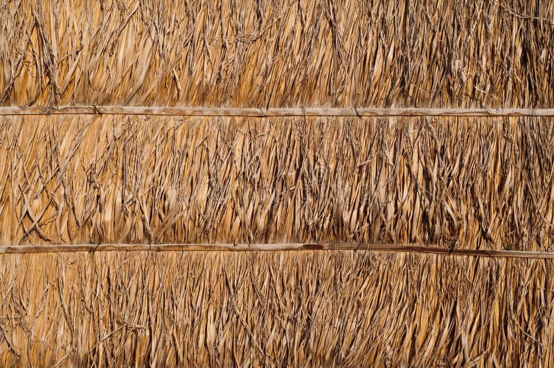 Dried palm leaf wall texture is natural wall