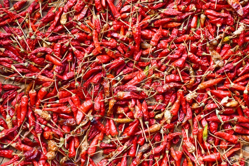 Hundreds of Dried Chili Peppers Dry Stock Image Image of cayenne