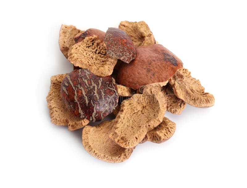 dried-peels-hyphaene-thebaica-doum-palm-gingerbread-tree-dried-peels-hyphaene-thebaica-doum-palm-gingerbread-tree-also-112654439.jpg