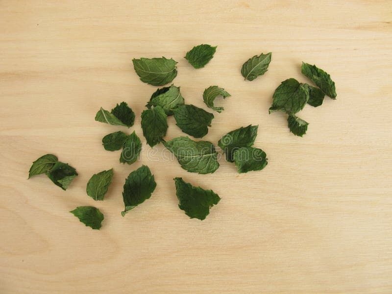 735 Dried Peppermint Leaves Stock Photos Free & RoyaltyFree Stock