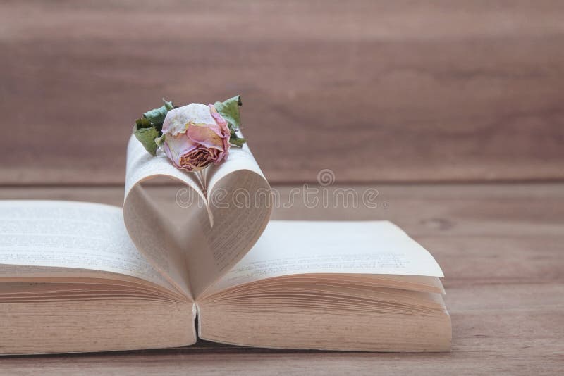 Dried pink rose on the old Heart shaped book, pink tones. stock image Dried pink rose on the old Heart shaped book, pink tones. stock image
