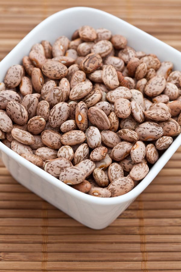 Dried Pinto Beans in a White Bowl Stock Image Image of dish