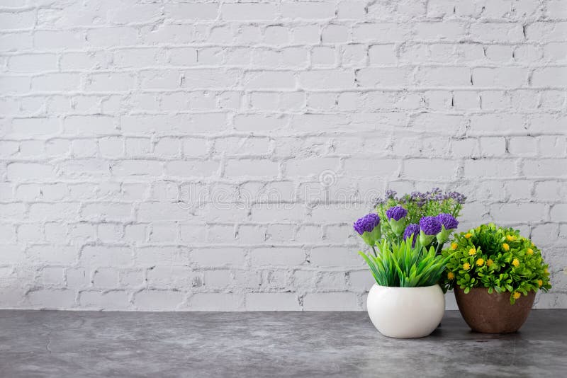 Dried Plant Pot on White Brick Wall Texture Background Stock Photo - Image  of room, plant: 159357256