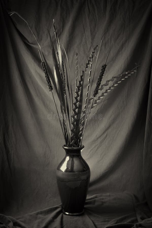 Dried Plants in Vase stock photo. Image of ceramic, decor 17700550
