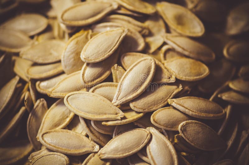 Dried Pumpkin Seeds On On A Metal Deck Stock Image - Image ...