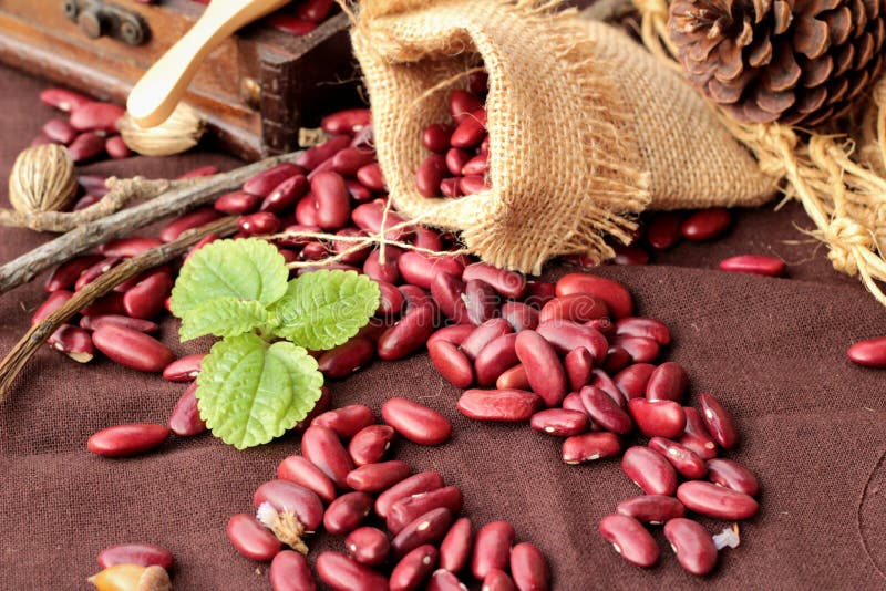 Dried Red Beans for Cooking. Stock Photo Image of natural, nutrition
