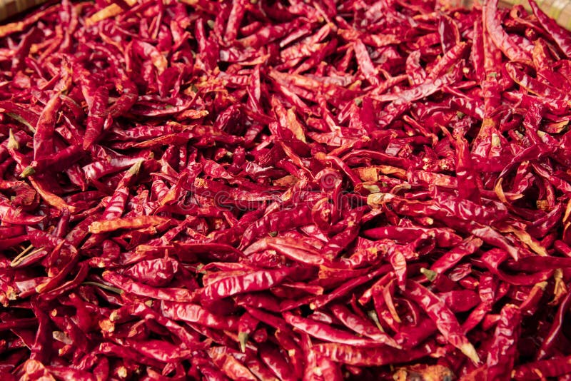 Dried red chili stock image. Image of heat, china, culinary 139370245