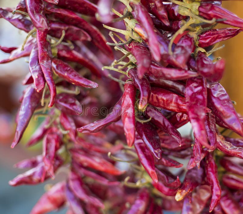 Dried Red Chili Paprika Hang in Bunch Stock Photo Image of cuisine, food 193479994