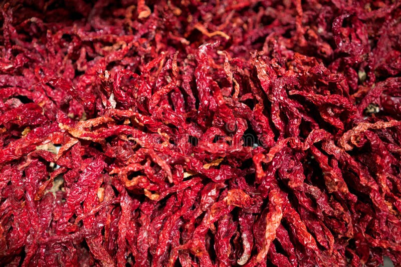 Dried red chili peppers stock photo. Image of dried 104594302