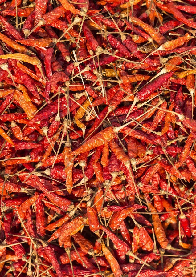 Dried Red Chili Peppers. stock image. Image of seasoning 87634895