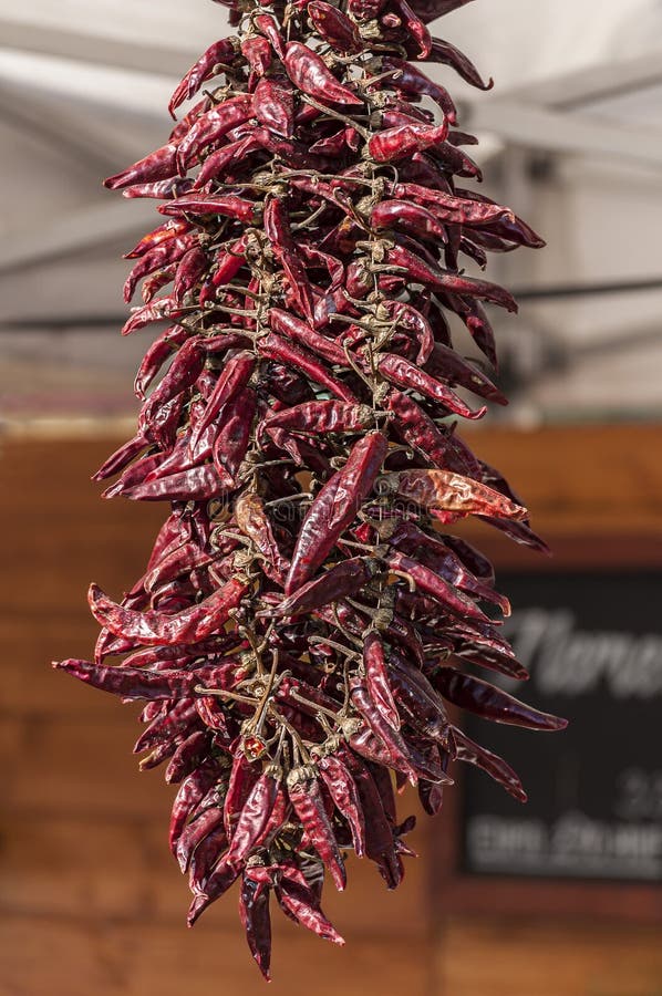 Dried red paprika stock photo. Image of ingredients, fresh 9489786