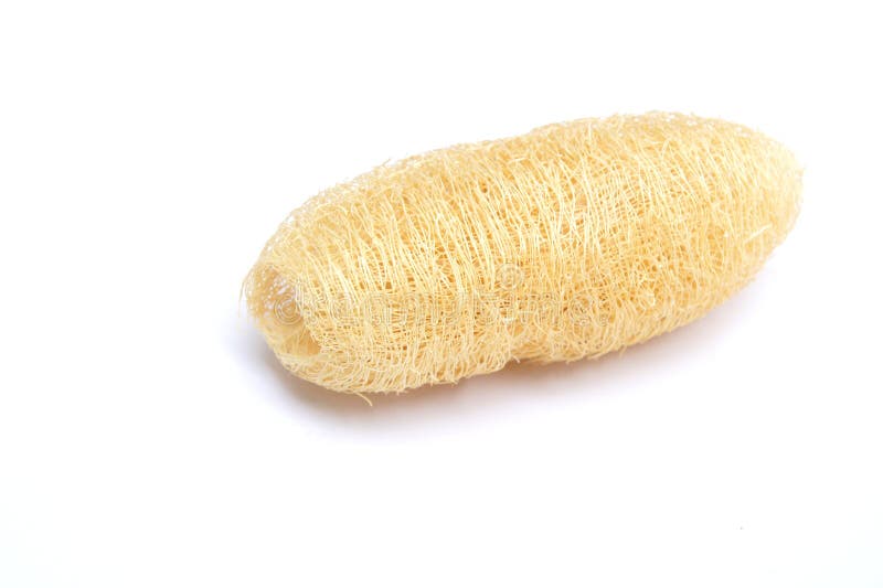 Dried Ridge gourd stock photo. Image of household, golden 26096714