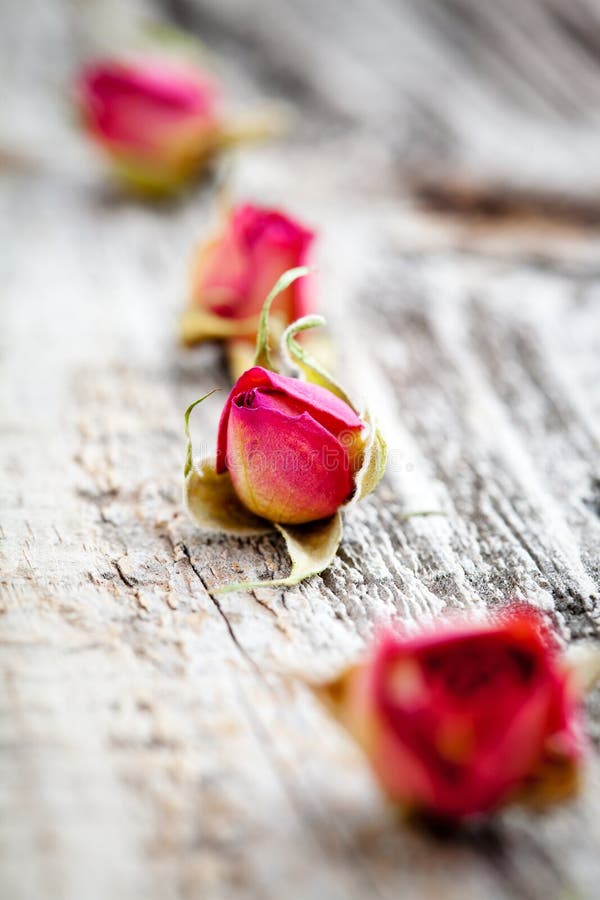 Dried rose buds