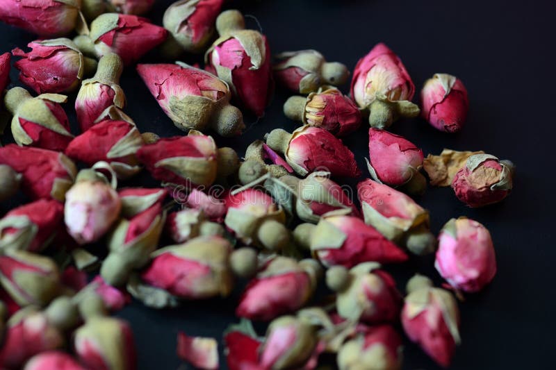 Dried Rose Buds Scattered on a Dark Surface. Rose Tea Stock Image Image of leaf, asia 158138533