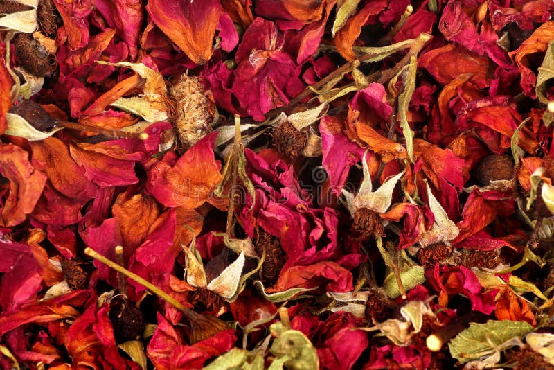 Dried Rose Flowers, Petals and Leaves Stock Image Image of leaves