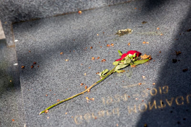 Rose on a Grave stock photo. Image of memorial, tombstone 19711936