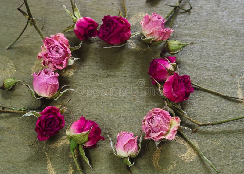 Dried rose on the green wood table