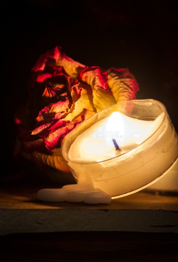 Dried Rose with Melted Tea Light Candle in Moody Atmosphere Stock Image