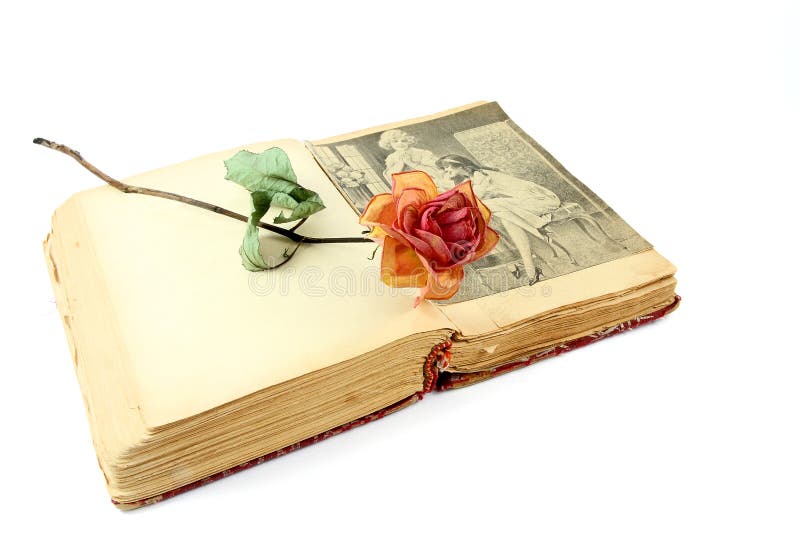 Dried rose on an old book