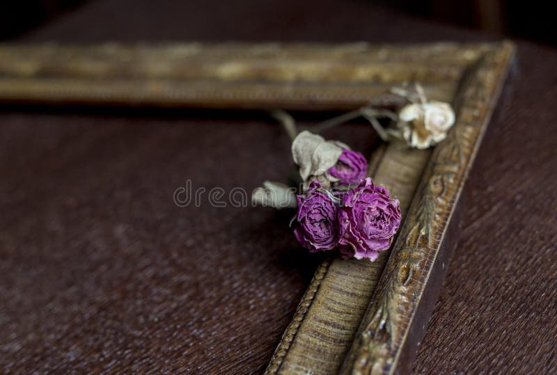 Dried roses in a frame stock photo. Image of wood, roses 130545278